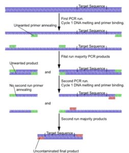 PCR