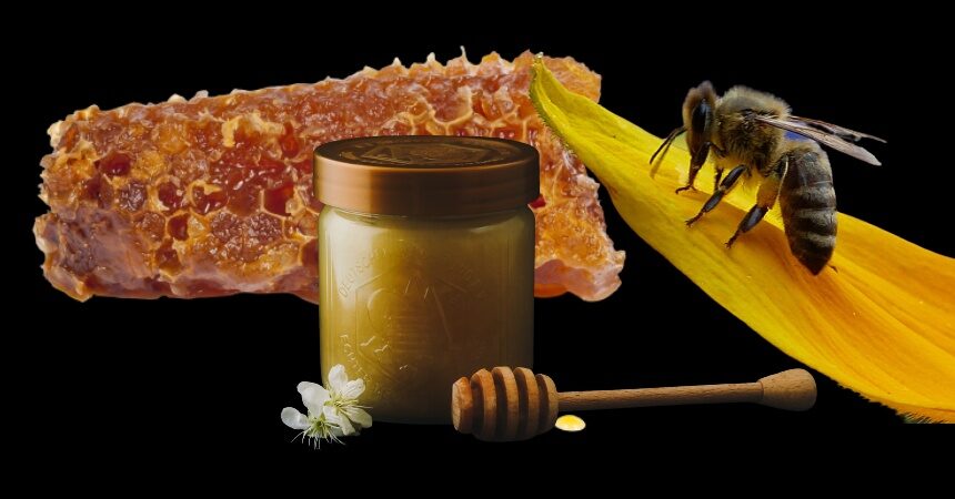 Propiedades medicinales de la miel y de otros productos de la colmena
