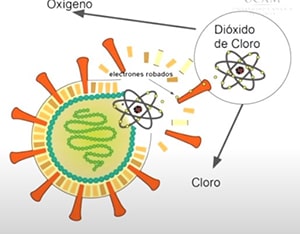 Dióxido de Cloro como tratamiento del covid-19