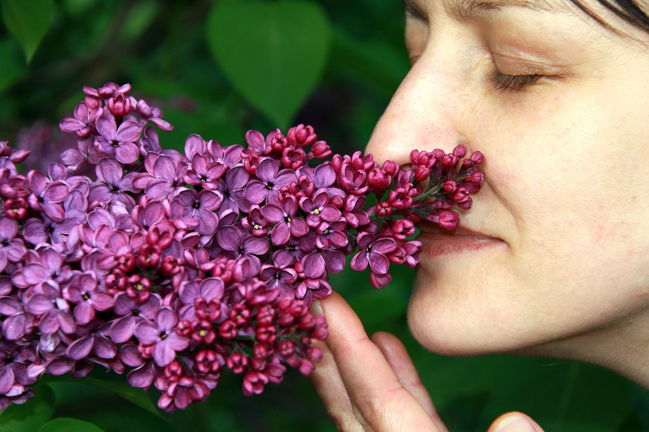 Terapia natural para la sinusitis: en qué consiste