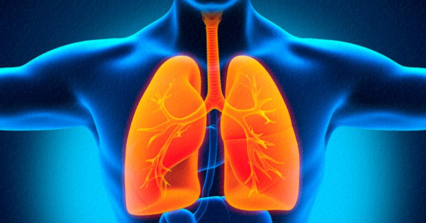 Pulmones y garganta con tos