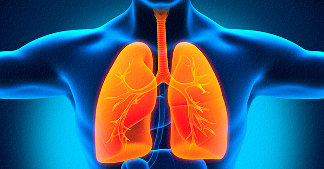 Pulmones y garganta con tos